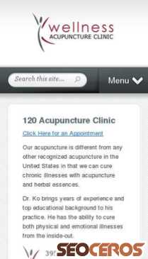 120acupunctureclinic.com mobil preview
