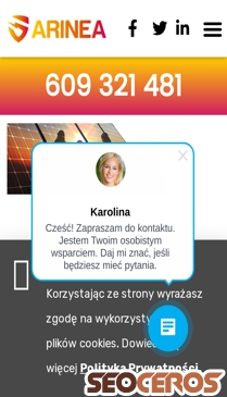 arinea.pl mobil preview