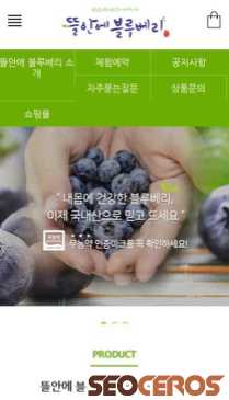 bblee.kr mobil preview