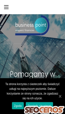 business-point.pl mobil förhandsvisning