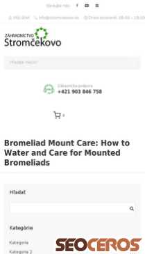 dev.stromcekovo.sk/bromeliad-mount-care-how-to-water-and-care-for-mounted-bromeliads-6 mobil 미리보기