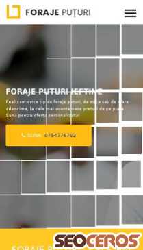 foraje-puturi-construct.ro mobil náhľad obrázku