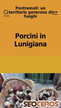 funghipontremoli.it/index.php/porcini-in-lunigiana mobil preview