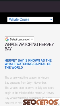herveybaytour.com/whale-watching.html mobil Vorschau
