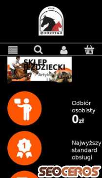 hubertuskielce.pl mobil preview