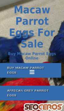 macawparroteggsforsale.org mobil 미리보기