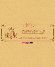 pauleczki-vin.hu mobil Vista previa