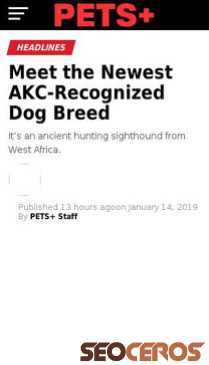petsplusmag.com/meet-the-newest-akc-recognized-dog-breed mobil प्रीव्यू 