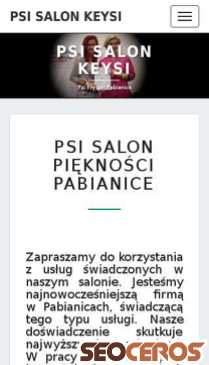 psifryzjerpabianice.pl mobil förhandsvisning