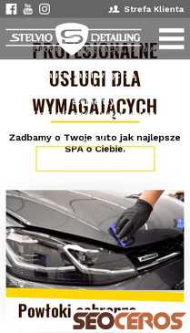 stelviodetailing.pl mobil preview