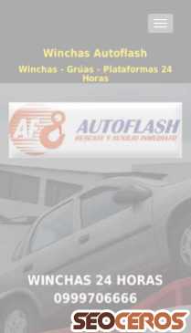 winchasautoflash.com mobil előnézeti kép