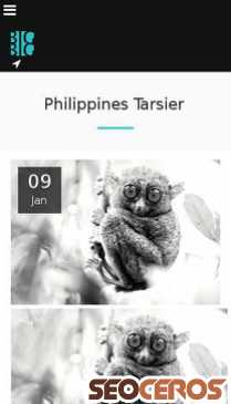 big-honcho.com/blog/philippines-tarsier mobil náhled obrázku