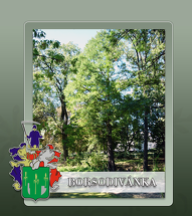 borsodivanka.hu mobil előnézeti kép