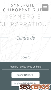 chiropracteur-bordeaux.com mobil Vista previa