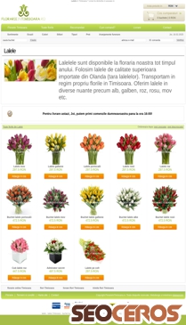 florarieintimisoara.ro/lalele.htm mobil obraz podglądowy