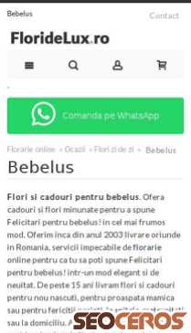 floridelux.ro/flori-pentru-ocazii/flori-pentru-zi-de-zi/flori-cadouri-bebelus mobil obraz podglądowy