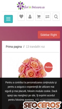 floriintimisoara.eu/13-trandafiri-roz mobil előnézeti kép