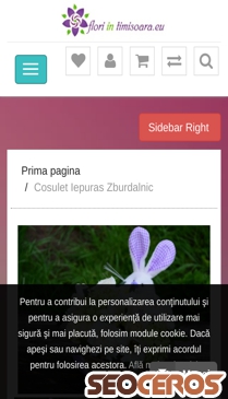 floriintimisoara.eu/cosulet-iepuras-zburdalnic mobil förhandsvisning