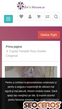 floriintimisoara.eu/cupola-trandafir-garden-rosu mobil preview