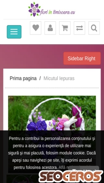 floriintimisoara.eu/micutul-iepuras mobil náhľad obrázku