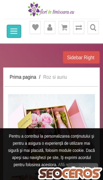 floriintimisoara.eu/roz-si-auriu mobil förhandsvisning