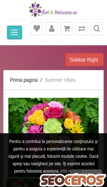floriintimisoara.eu/summer-vibes mobil Vista previa