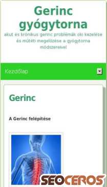 gerinc-gyogytorna.hu mobil prikaz slike