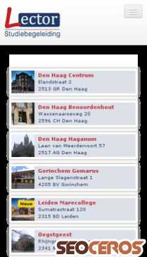 lectorstudiebegeleiding.nl mobil előnézeti kép