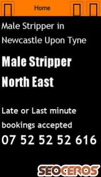 malestrippernortheast.co.uk mobil preview