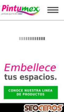 pintumex.com.mx mobil previzualizare
