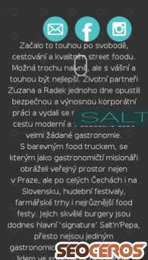 saltnpepa.cz/cz/uvod mobil náhled obrázku