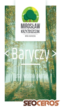 turystykabarycz.pl mobil preview