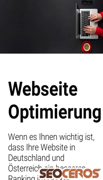 websitepositionierung-seo.de mobil Vista previa
