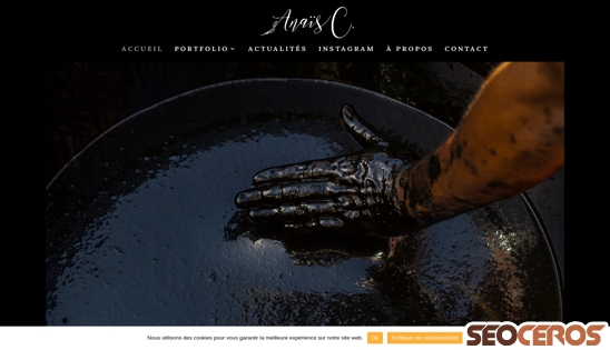 anaiscolors.com desktop náhľad obrázku