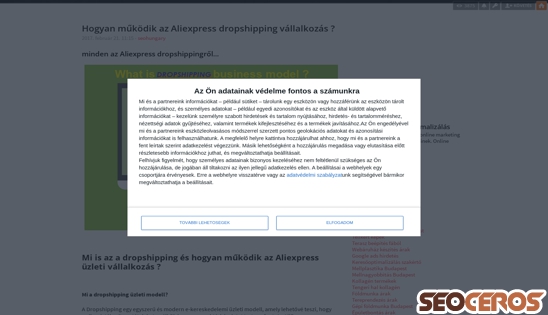 appwebaruhazoptimalizalas.blog.hu/2017/02/21/hogyan-mukodik-az-aliexpress-dropshipping-vallalkozas desktop előnézeti kép