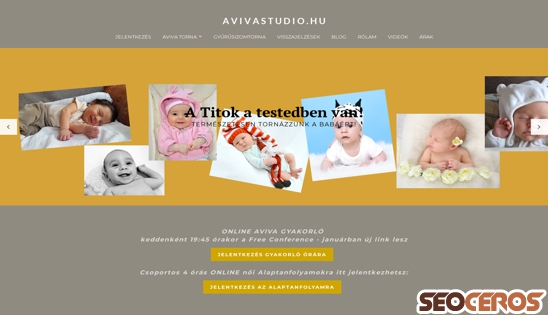 avivastudio.hu desktop előnézeti kép
