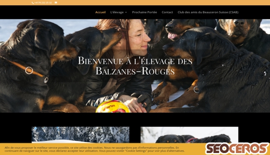 balzanes-rouges.ch desktop náhled obrázku