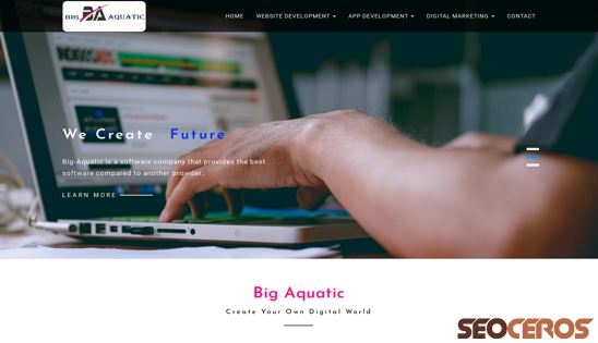 big-aquatic.co.in desktop previzualizare