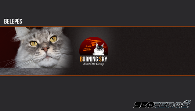 burningskycoon.hu desktop Vista previa