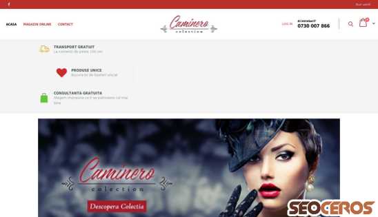 caminero.ro desktop előnézeti kép