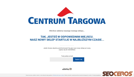 centrumtargowa.yourtechnicaldomain.com/product-pol-21799-NOB-JESIEN-CYNAMONOWA-5L.html desktop Vista previa