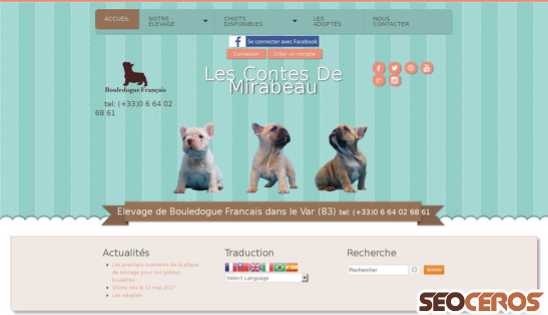 chiot-bouledogue-francais.com desktop náhľad obrázku