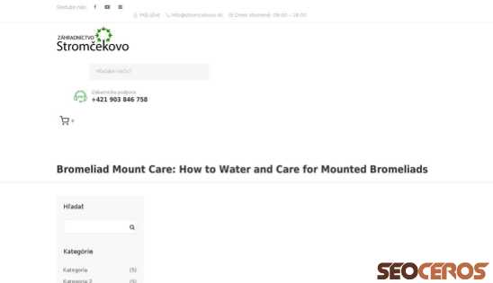 dev.stromcekovo.sk/bromeliad-mount-care-how-to-water-and-care-for-mounted-bromeliads-6 desktop 미리보기