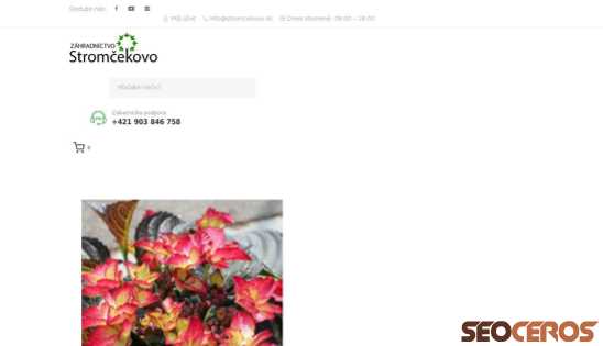 dev.stromcekovo.sk/produkty/hortenzia-kalinolista-black-diamonds-30-40-cm desktop prikaz slike