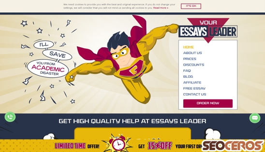 essaysleader.com desktop obraz podglądowy