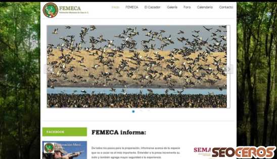 femeca.com desktop vista previa