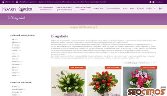 flowers-garden.ro/categorie-produse/colectii/dragobete desktop előnézeti kép