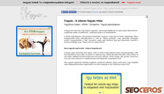 fogyas.info desktop obraz podglądowy