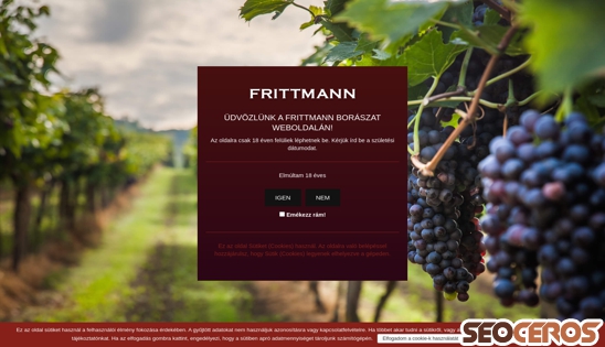 frittmann.hu desktop előnézeti kép
