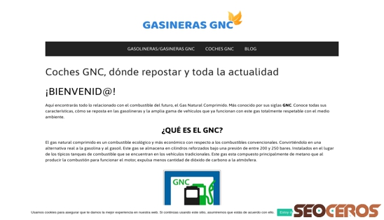gasinerasgnc.com desktop náhled obrázku